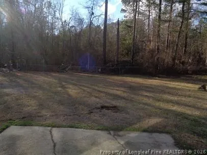 a view of backyard with green space