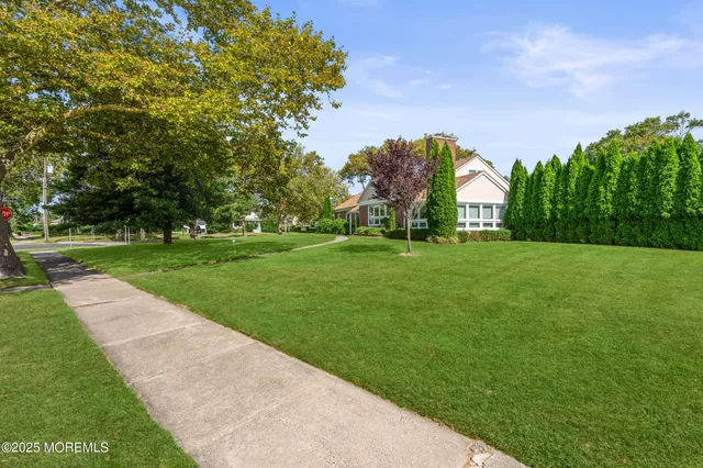 a view of a park with large trees