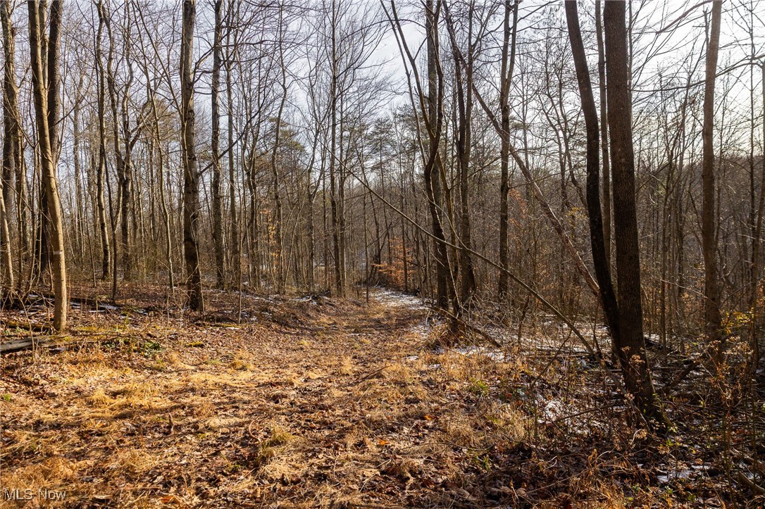 9 County Road New Matamoras, OH 45767 - Photo 20 of 48 View of nature