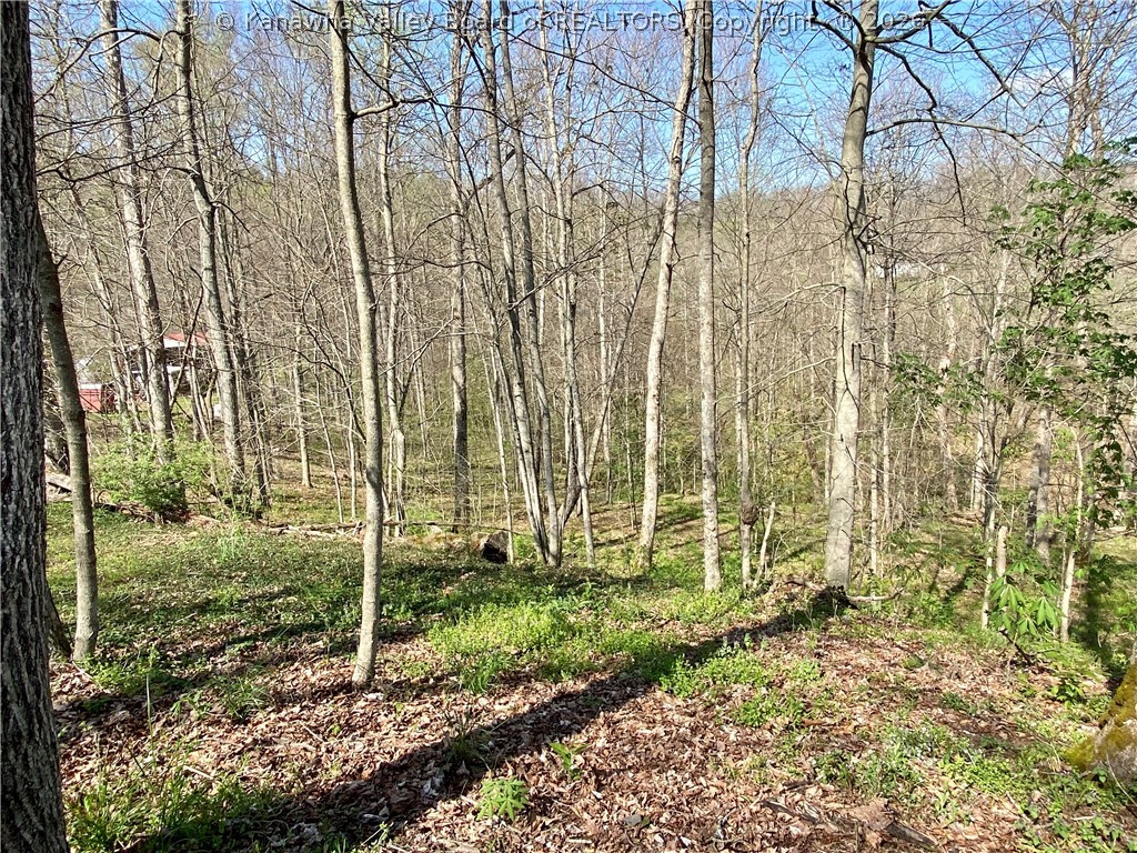 2835 Poca River Road Charleston, WV 25320 - Photo 28 of 50 Gallery Image 28