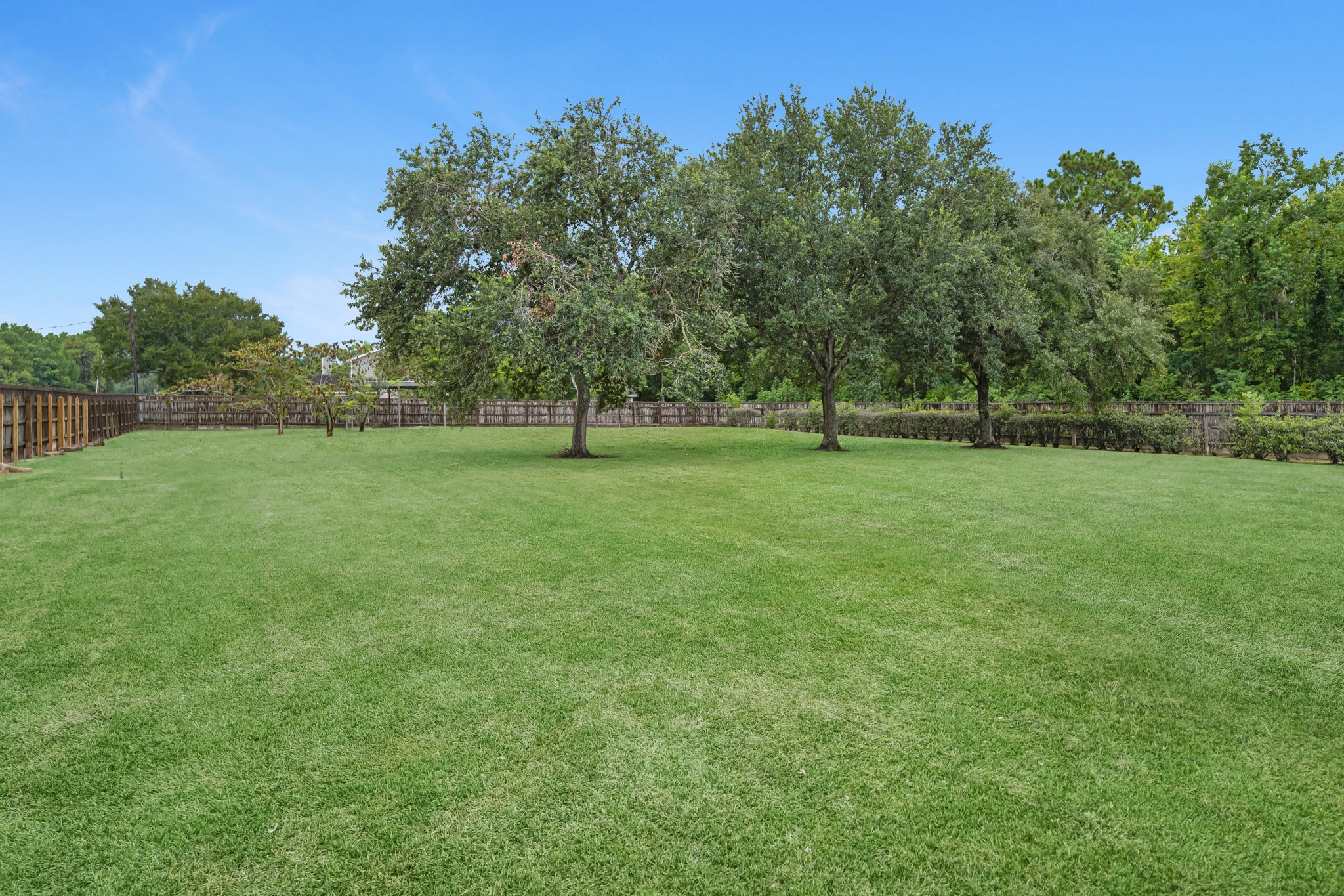 7315 Pine Street Manvel, TX 77578 - Photo 8 of 50 a view of an outdoor space and a yard