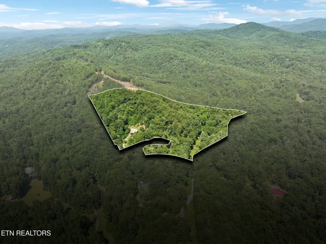 $680,000 | 186 Caney Creek Road, Reliance, TN 37369