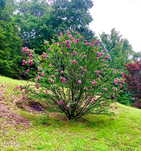 $680,000 | 186 Caney Creek Road, Reliance, TN 37369