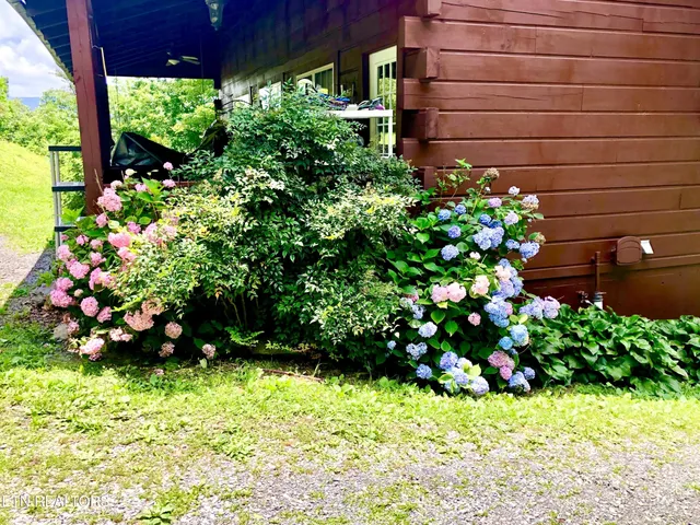 $680,000 | 186 Caney Creek Road, Reliance, TN 37369