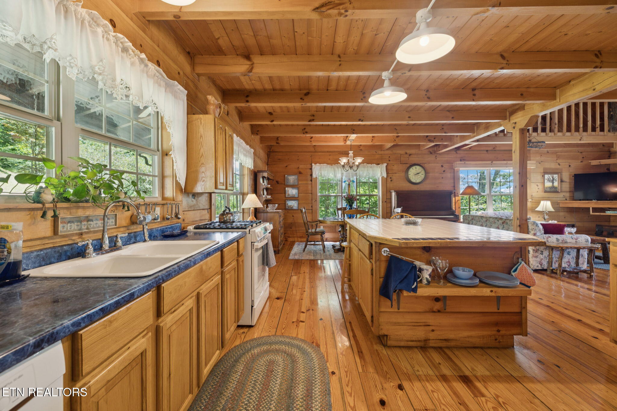 186 Caney Creek Road Reliance, TN 37369 - Photo 9 of 48 Main level kitchen