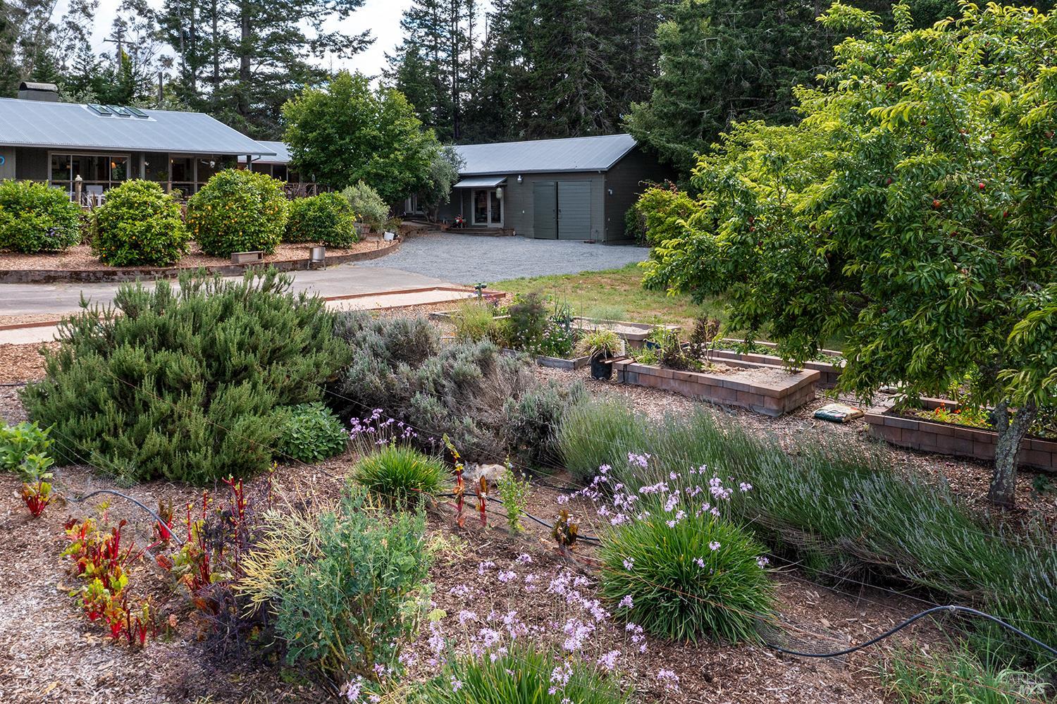 2630 Burnside Road Sebastopol, CA 95472 - Photo 78 of 81