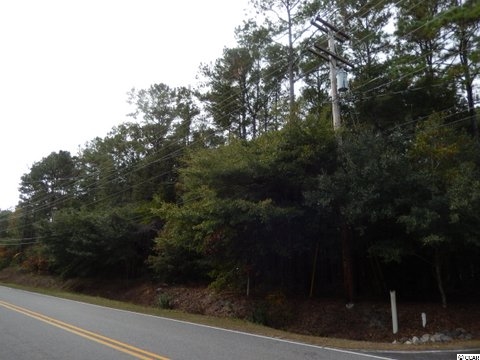 735 Kings River Road Pawleys Island, SC 29585 - Photo 1 of 8 Gallery Image 1