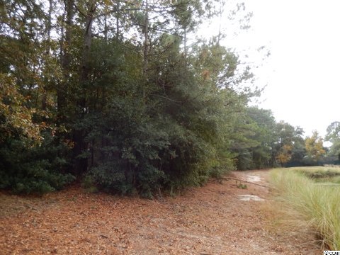 735 Kings River Road Pawleys Island, SC 29585 - Photo 3 of 8 Gallery Image 3