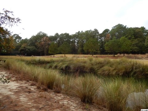 735 Kings River Road Pawleys Island, SC 29585 - Photo 4 of 8 Gallery Image 4