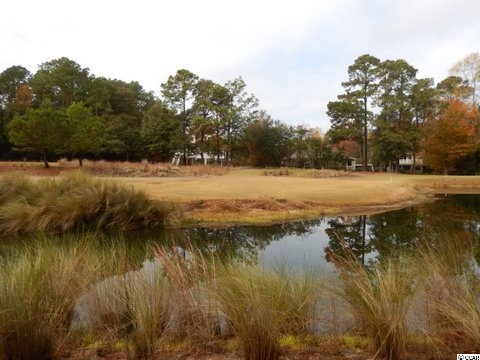 735 Kings River Road Pawleys Island, SC 29585 - Photo 5 of 8 Gallery Image 5