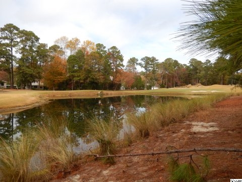 735 Kings River Road Pawleys Island, SC 29585 - Photo 6 of 8 Gallery Image 6