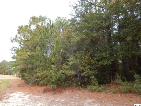 735 Kings River Road Pawleys Island, SC 29585 - Photo 7 of 8 Gallery Image 7