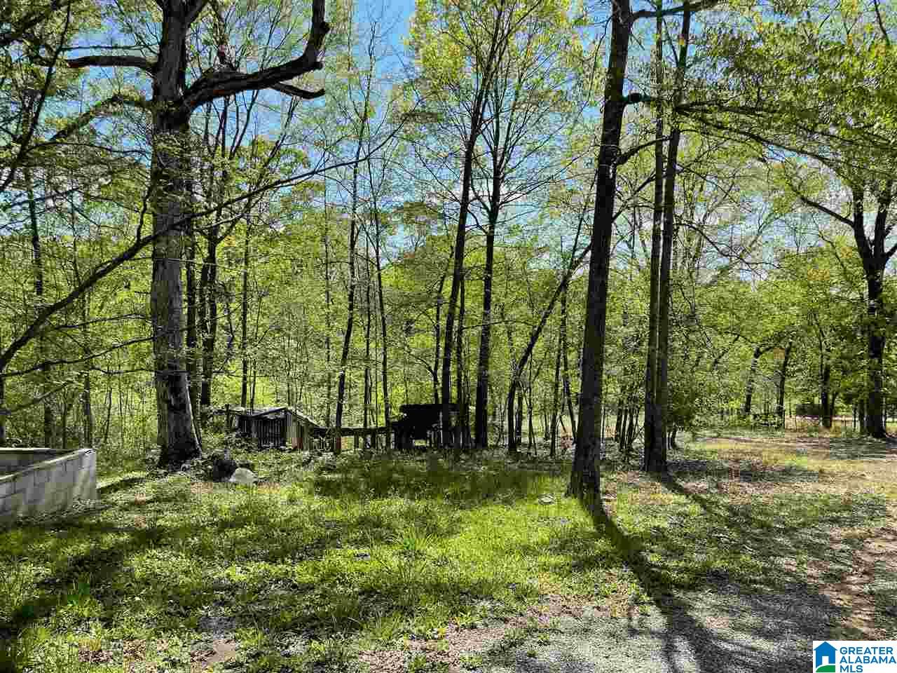 499 Greensport Road Ohatchee, AL 36271 - Photo 7 of 12