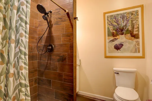 a bathroom with a toilet and a shower