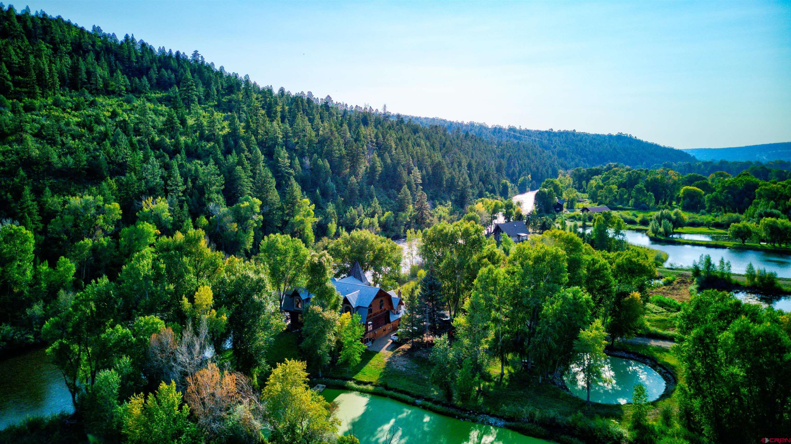 18656 Highway 145 Dolores, CO 81323 - Photo 34 of 45 Aerial view with a forest view and a water view