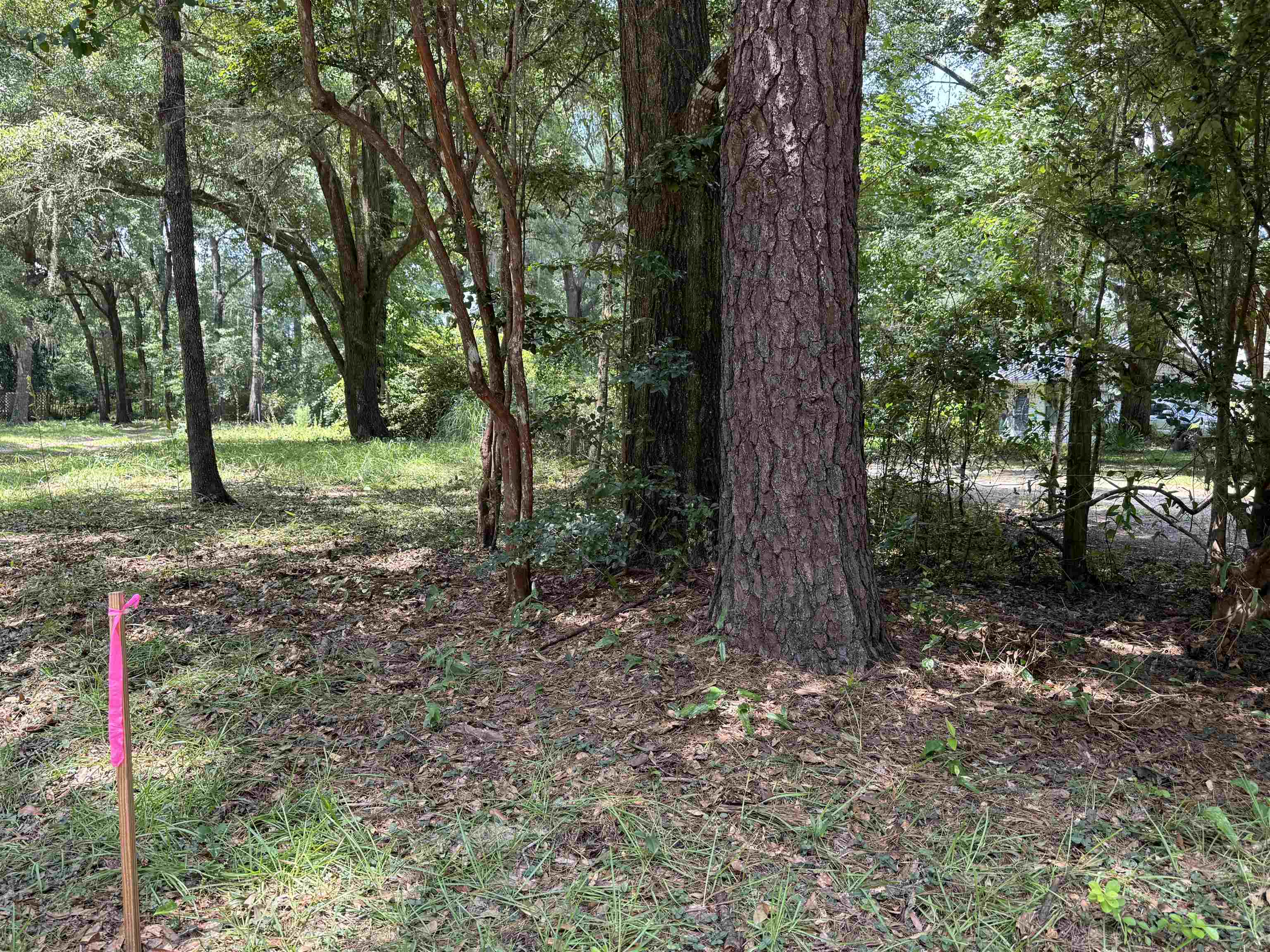 Parramore Shores Road Tallahassee, FL 32310 - Photo 29 of 31