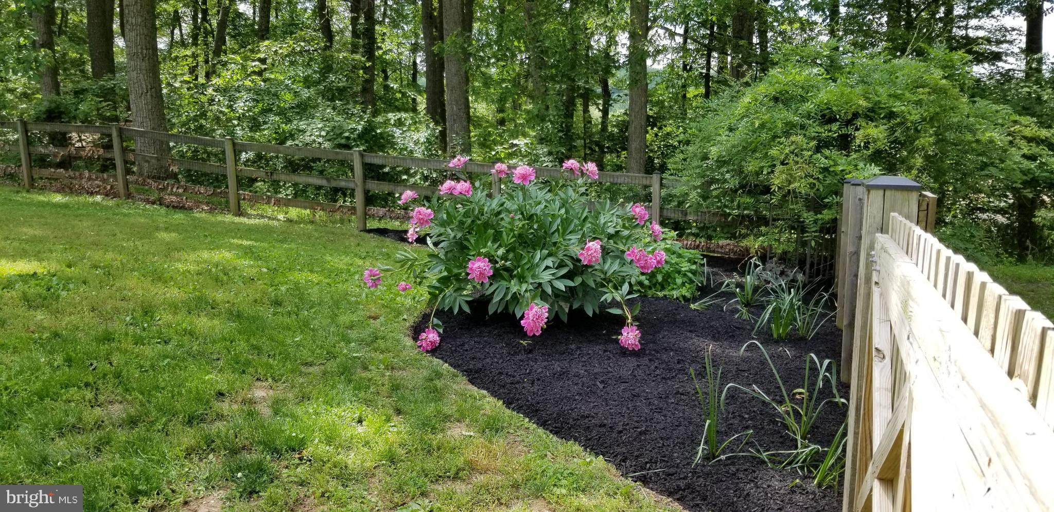 1681 Exeter Road Westminster, MD 21157 - Photo 24 of 24 Springtime brings vibrant color to the back yard