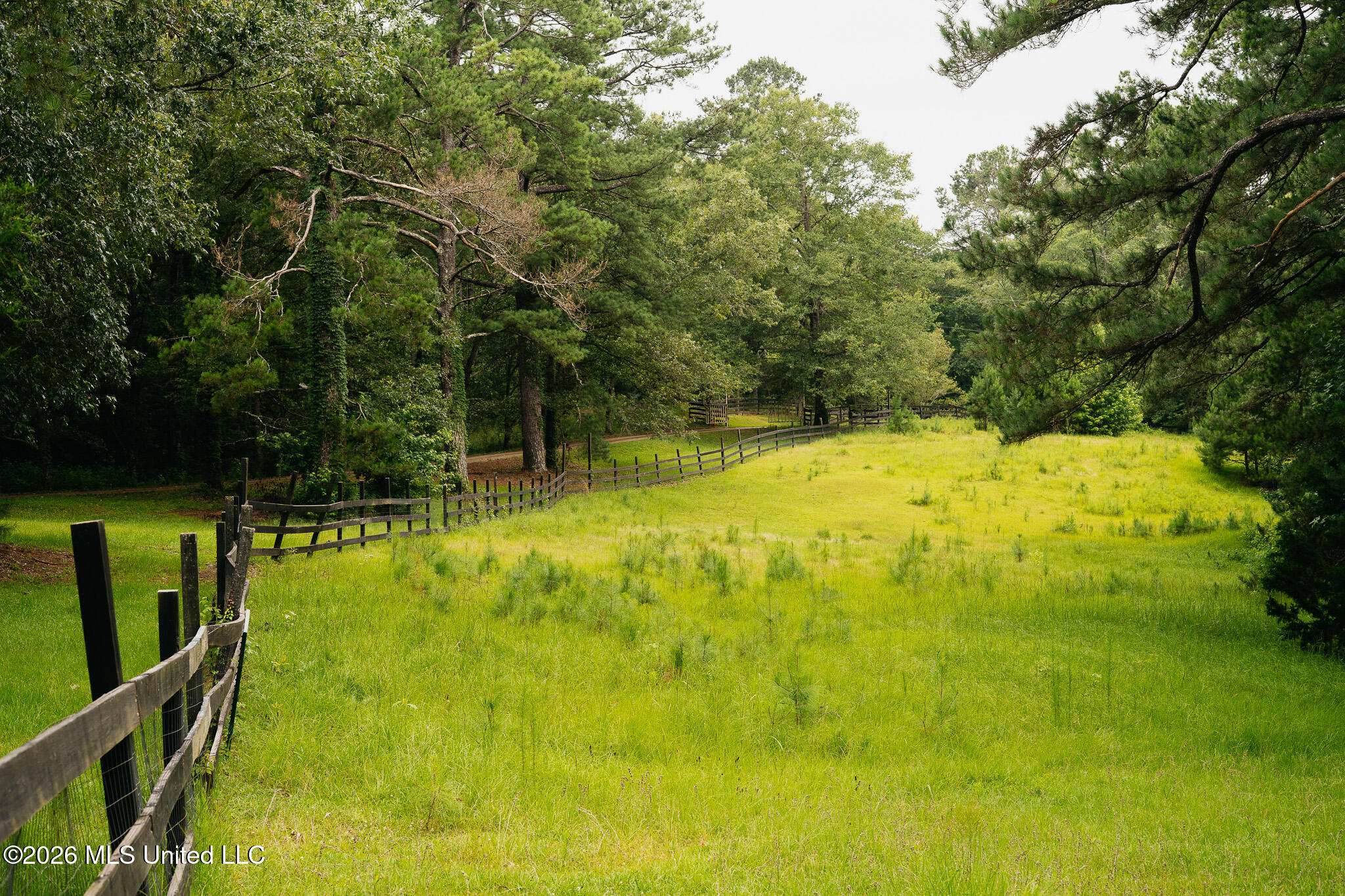 2139 Warren Hood Road Hermanville, MS 39086 - Photo 93 of 115 Front Pasture