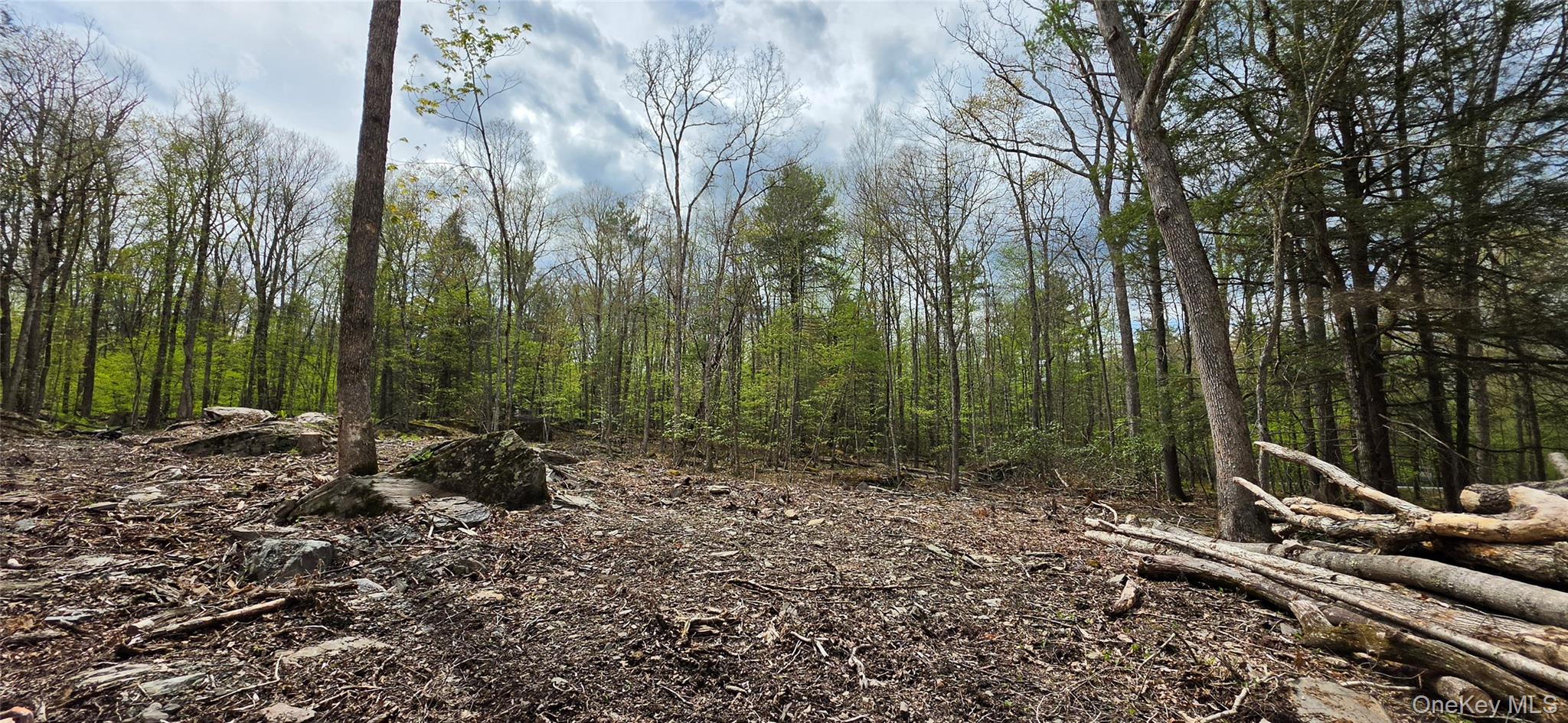 Lot 82 Perry Pond Road Narrowsburg, NY 12764 - Photo 6 of 14