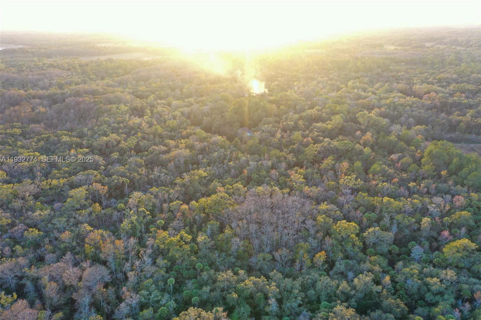 13254 East Shawnee Trail Inverness, FL 34450 - Photo 11 of 24 an view of an ocean