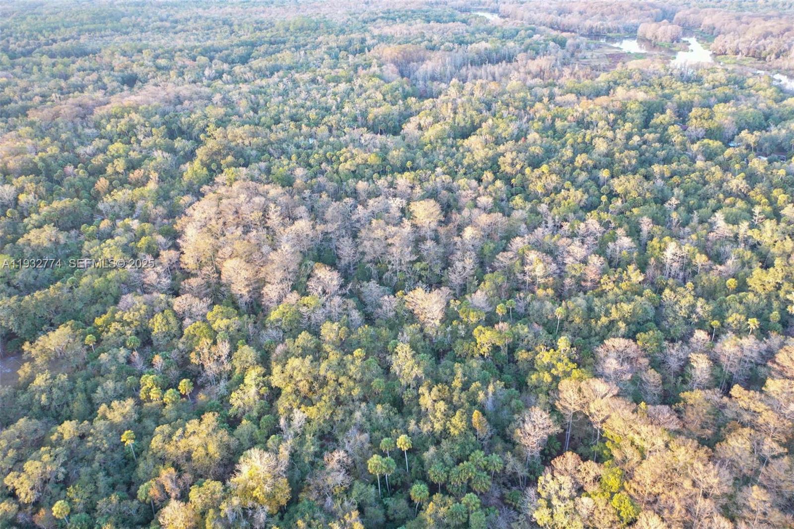 13254 East Shawnee Trail Inverness, FL 34450 - Photo 17 of 24 a view of a yard