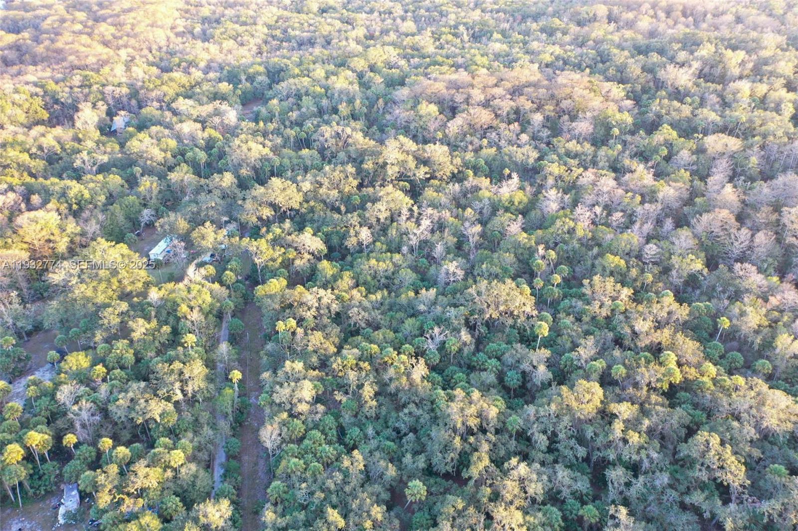 13254 East Shawnee Trail Inverness, FL 34450 - Photo 21 of 24 a view of a large tree