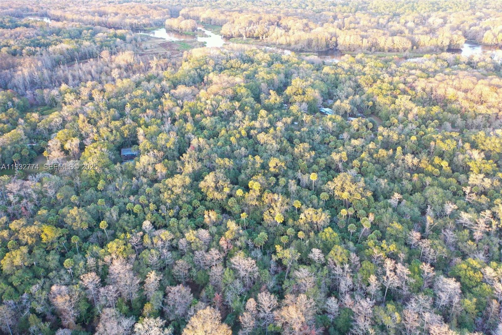 13254 East Shawnee Trail Inverness, FL 34450 - Photo 6 of 24 a view of a tree