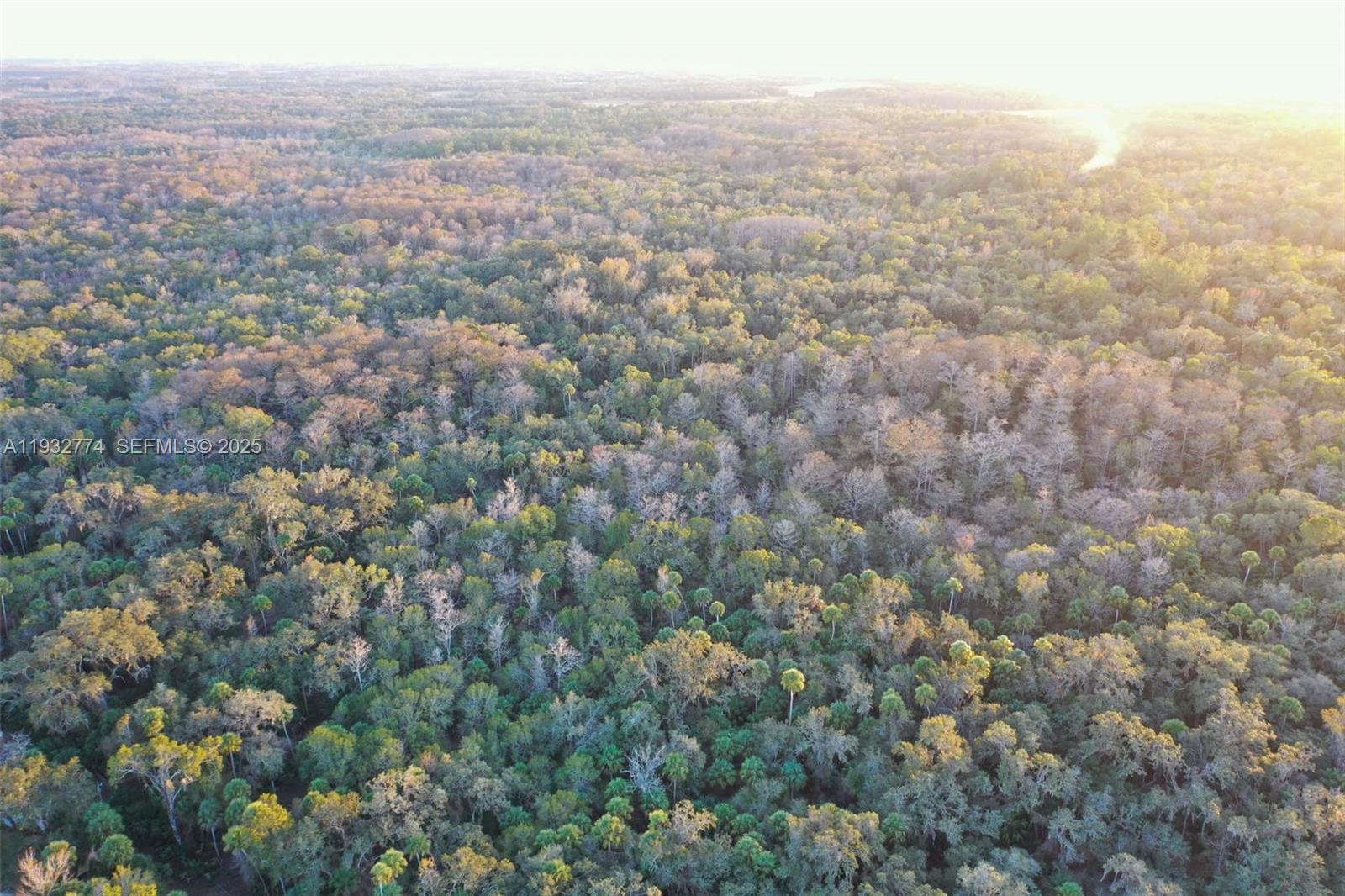 13254 East Shawnee Trail Inverness, FL 34450 - Photo 7 of 24 view of city and mountain