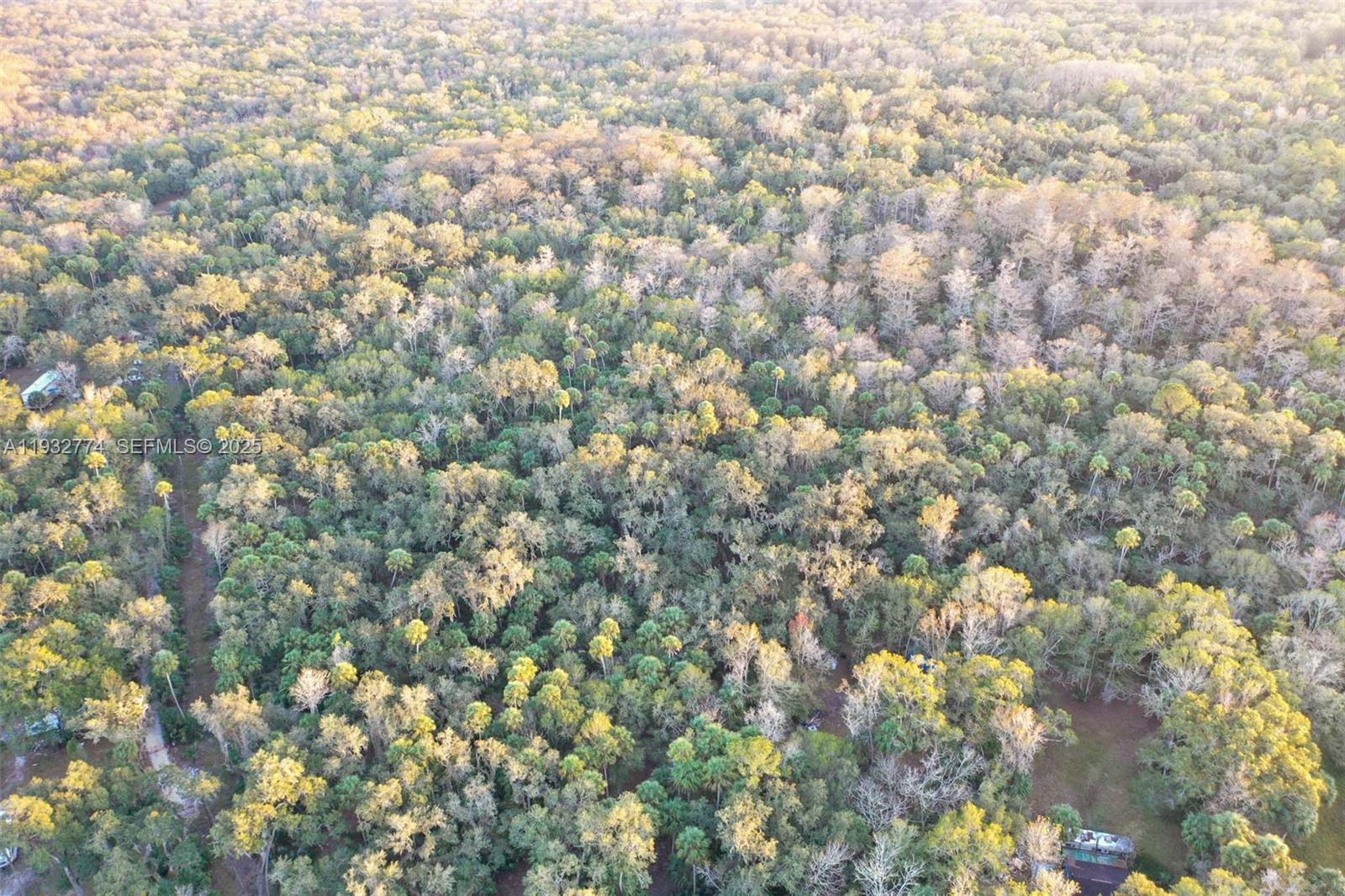 13254 East Shawnee Trail Inverness, FL 34450 - Photo 10 of 24 a view of a yard