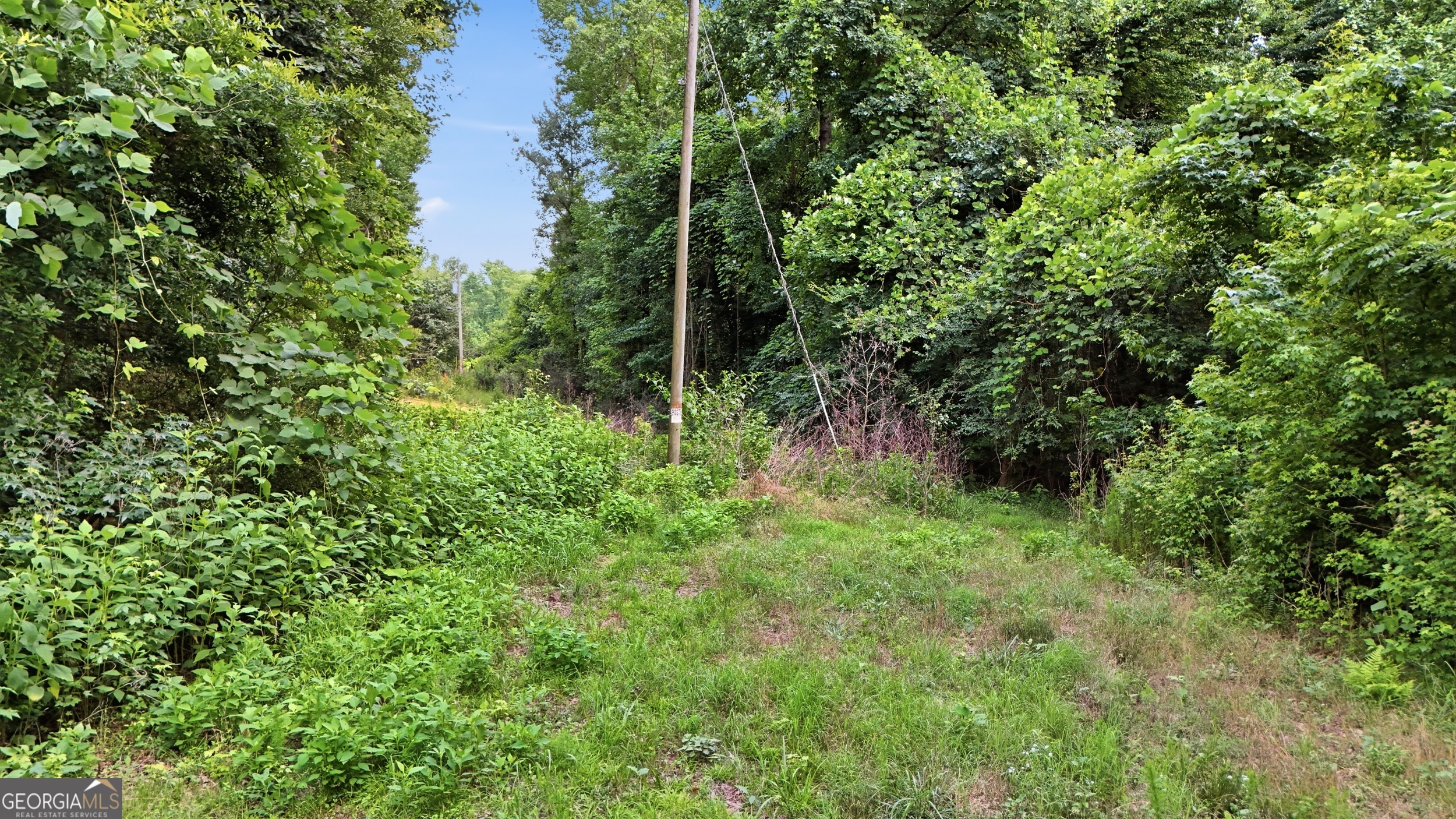 0 Lord Road Commerce, GA 30530 - Photo 14 of 22