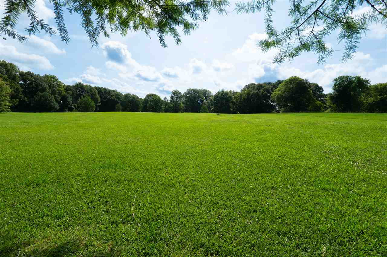 314 Parks Road Jackson, MS 39212 - Photo 12 of 44 Photo 12