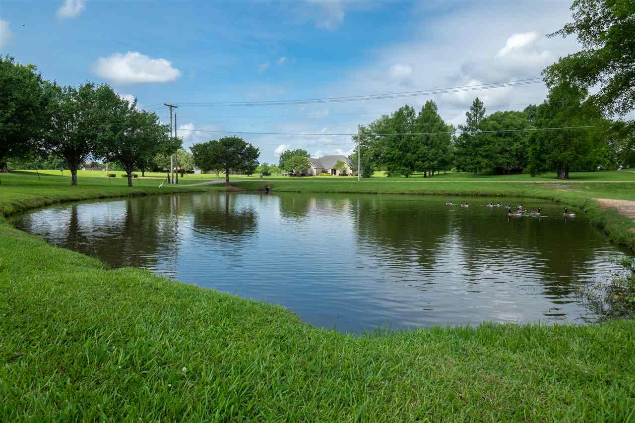 314 Parks Road Jackson, MS 39212 - Photo 6 of 44 Photo 6
