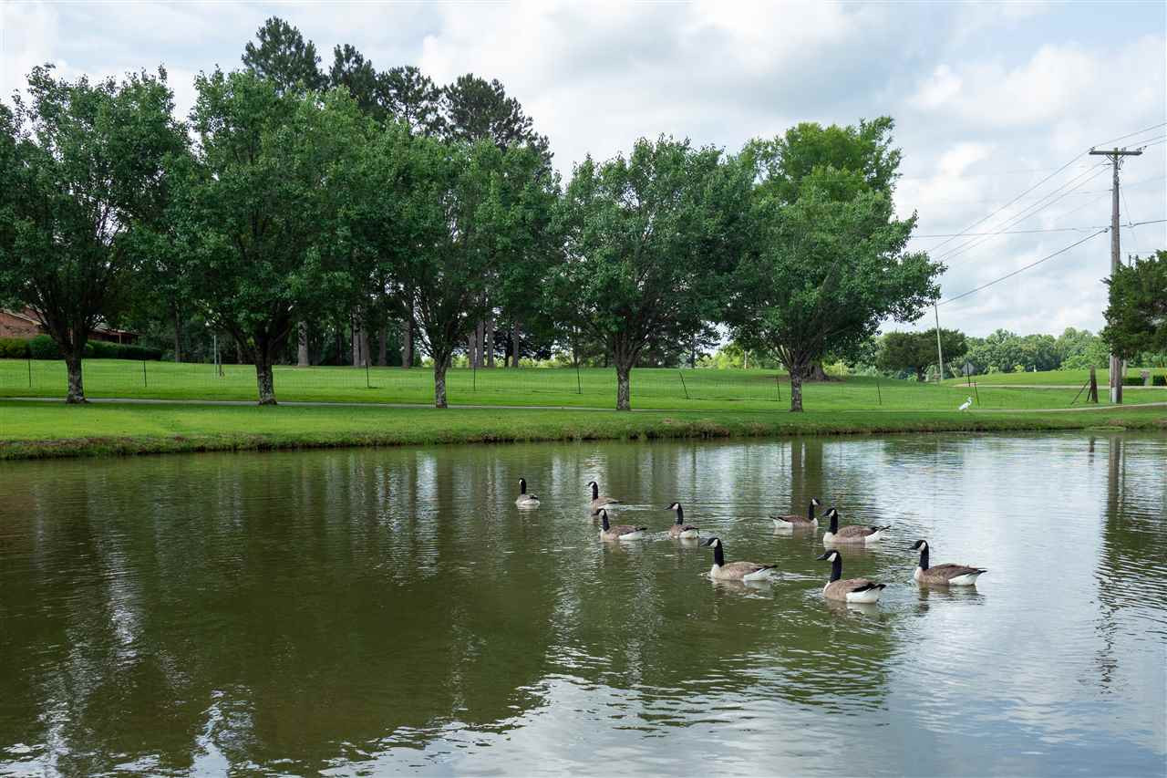 314 Parks Road Jackson, MS 39212 - Photo 7 of 44 Photo 7
