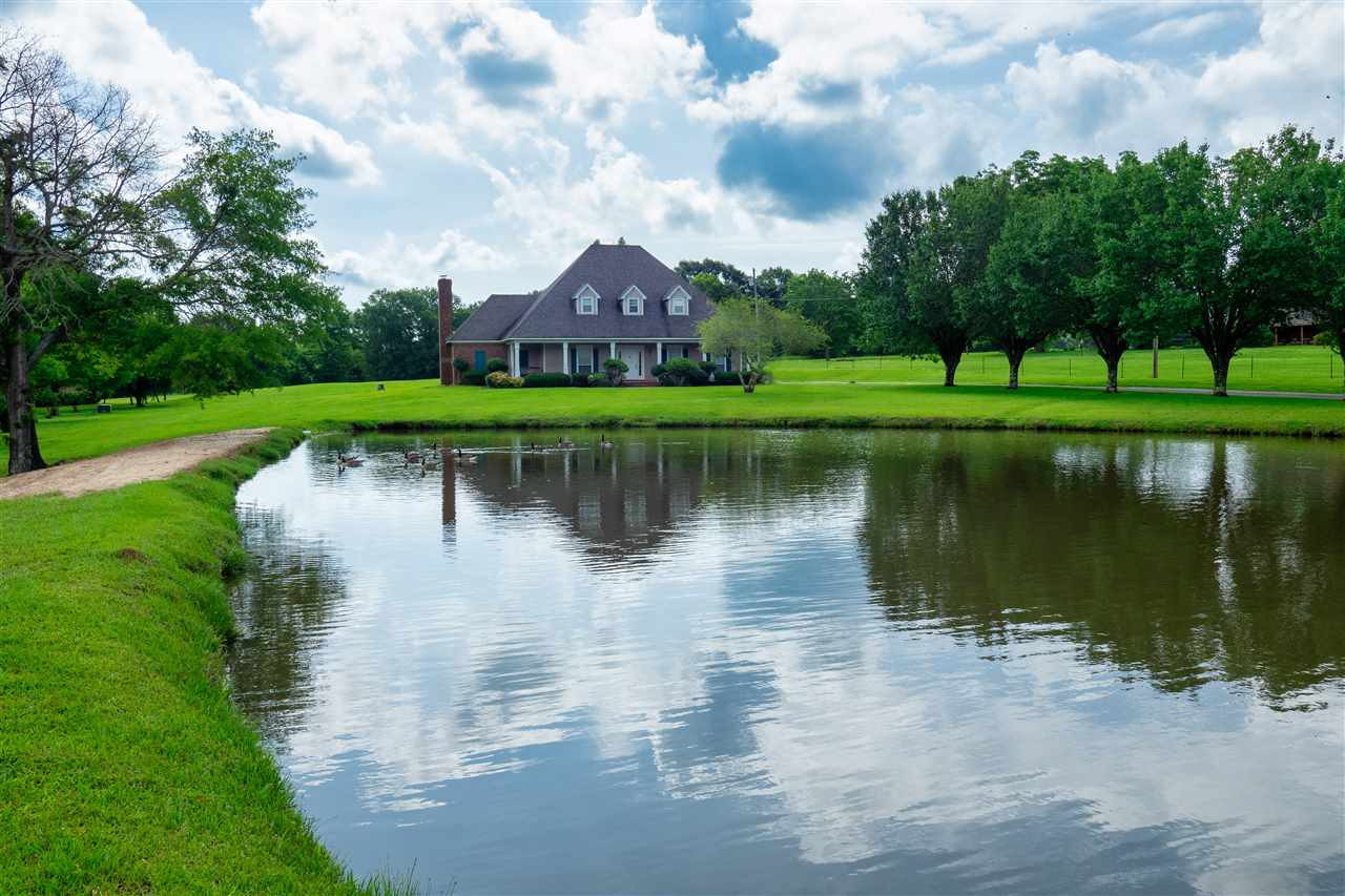 314 Parks Road Jackson, MS 39212 - Photo 8 of 44 Photo 8