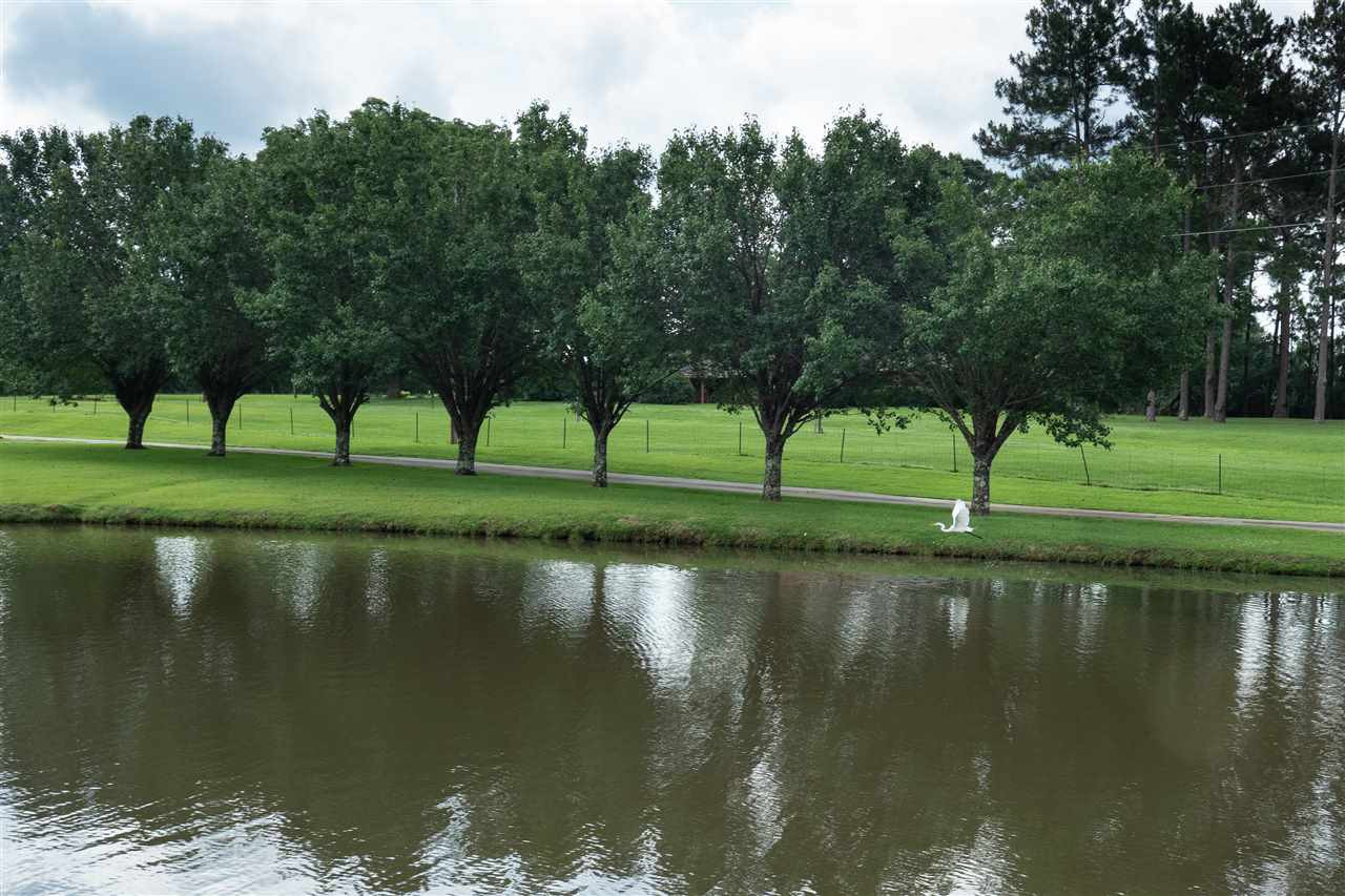 314 Parks Road Jackson, MS 39212 - Photo 9 of 44 Photo 9