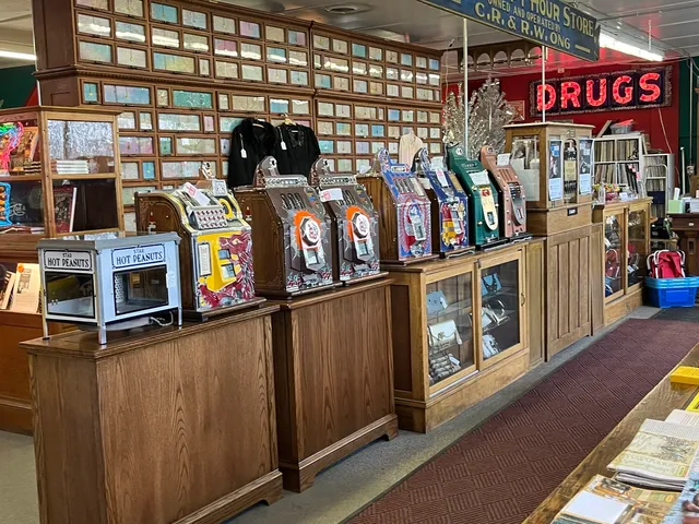 a store room with lots of different kinds of flowers