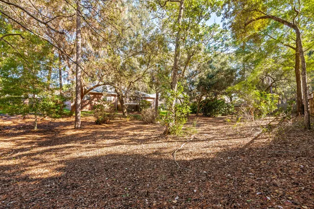a view of a yard with plants and trees