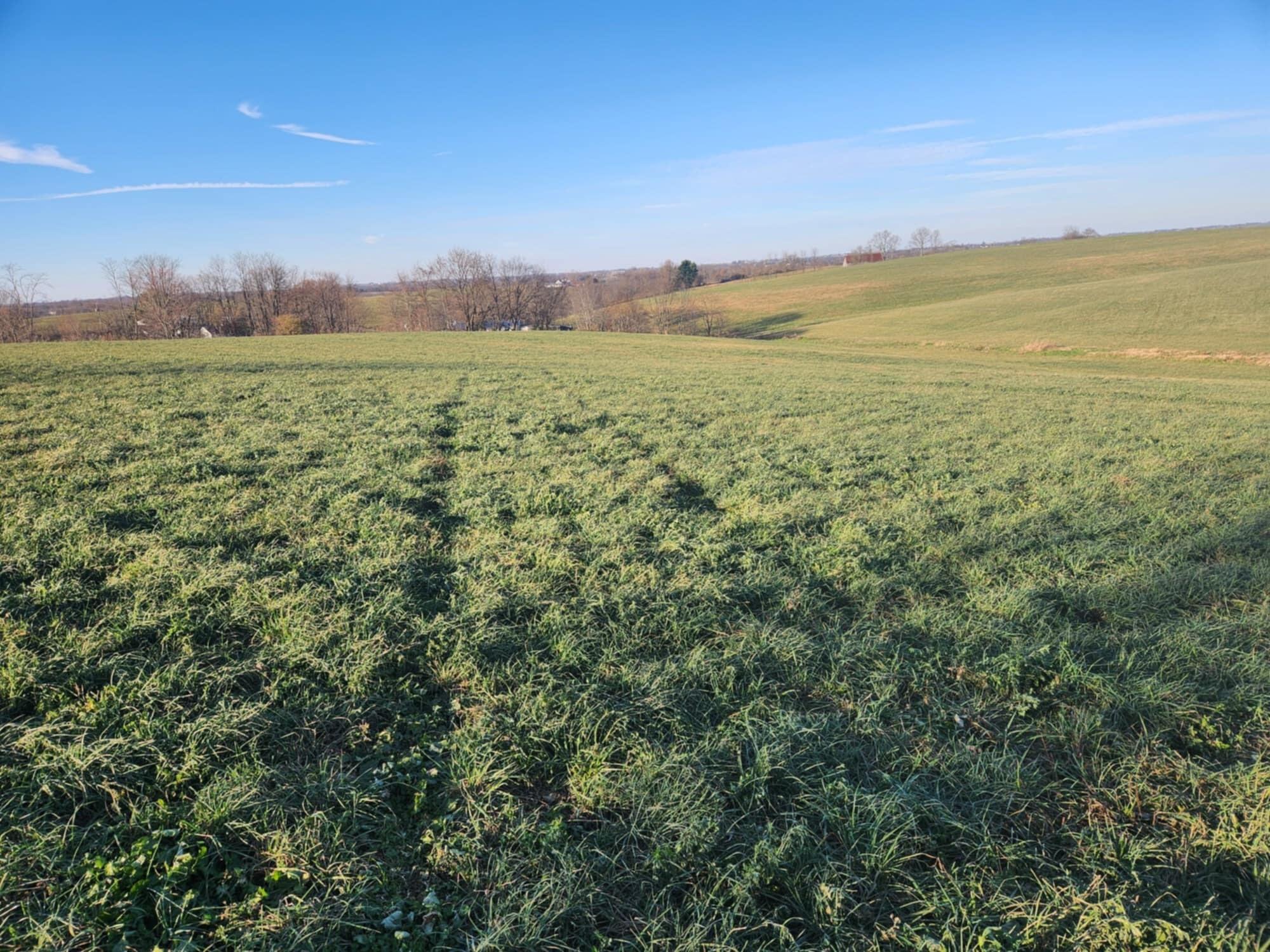 7370 Energy Road Ewing, KY 41039 - Photo 49 of 53 att.iIW2siUgVDTecPTwE9GK2zJ_fOhvmpwhCRrz