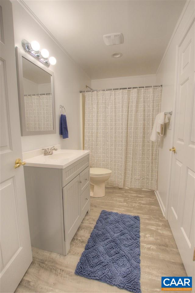 4865 Mechums River Road Charlottesville, VA 22901 - Photo 36 of 45 a bathroom with a sink a toilet and shower