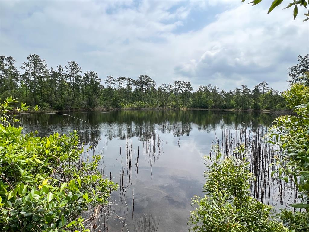 0 Fm 2937/old Arco Road Silsbee, TX 77656 - Photo 2 of 5