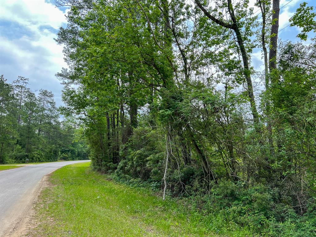 0 Fm 2937/old Arco Road Silsbee, TX 77656 - Photo 5 of 5