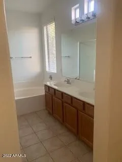 a bathroom with a tub sink vanity and a mirror