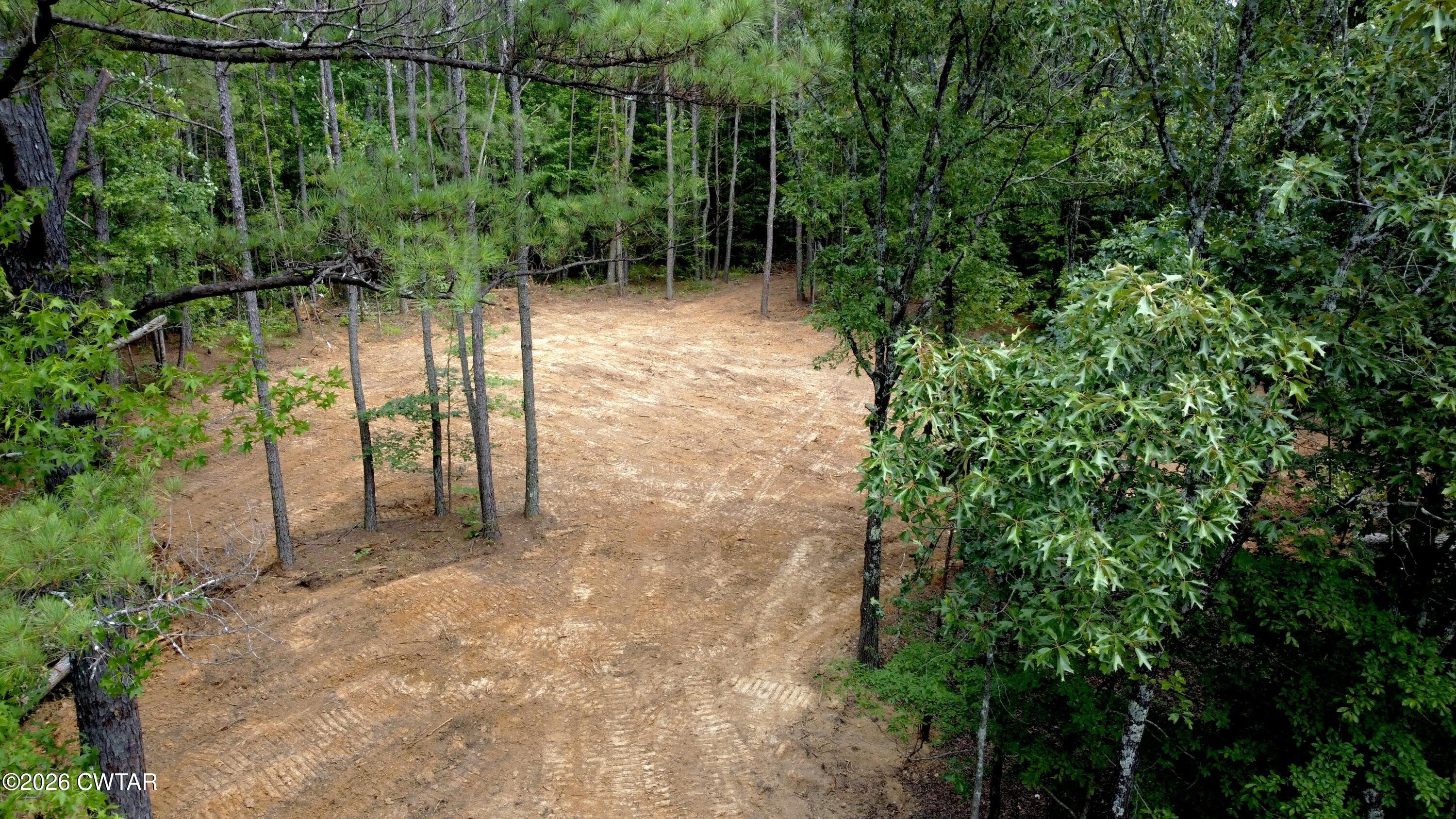 0 Old Lula Road Reagan, TN 38368 - Photo 10 of 18 dji_fly_20260621_150322_211_178207224223