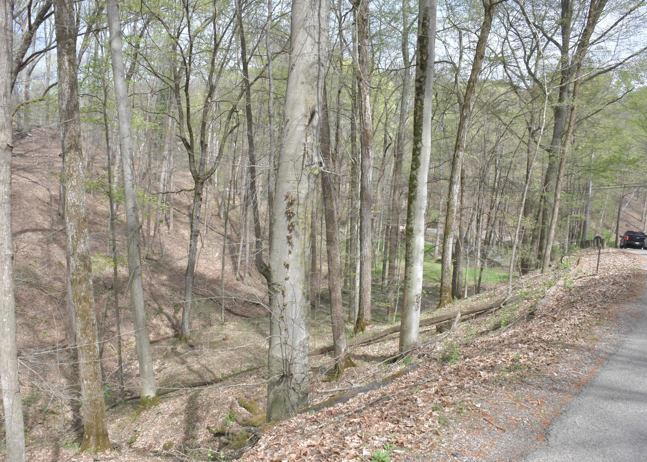 861 Aztec Lane Logan, OH 43138 - Photo 1 of 5 From the road down the ravine