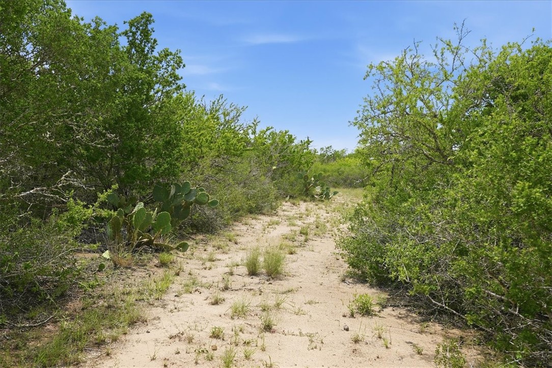 140 Choke Canyon Estates Drive Three Rivers, TX 78071 - Photo 3 of 17
