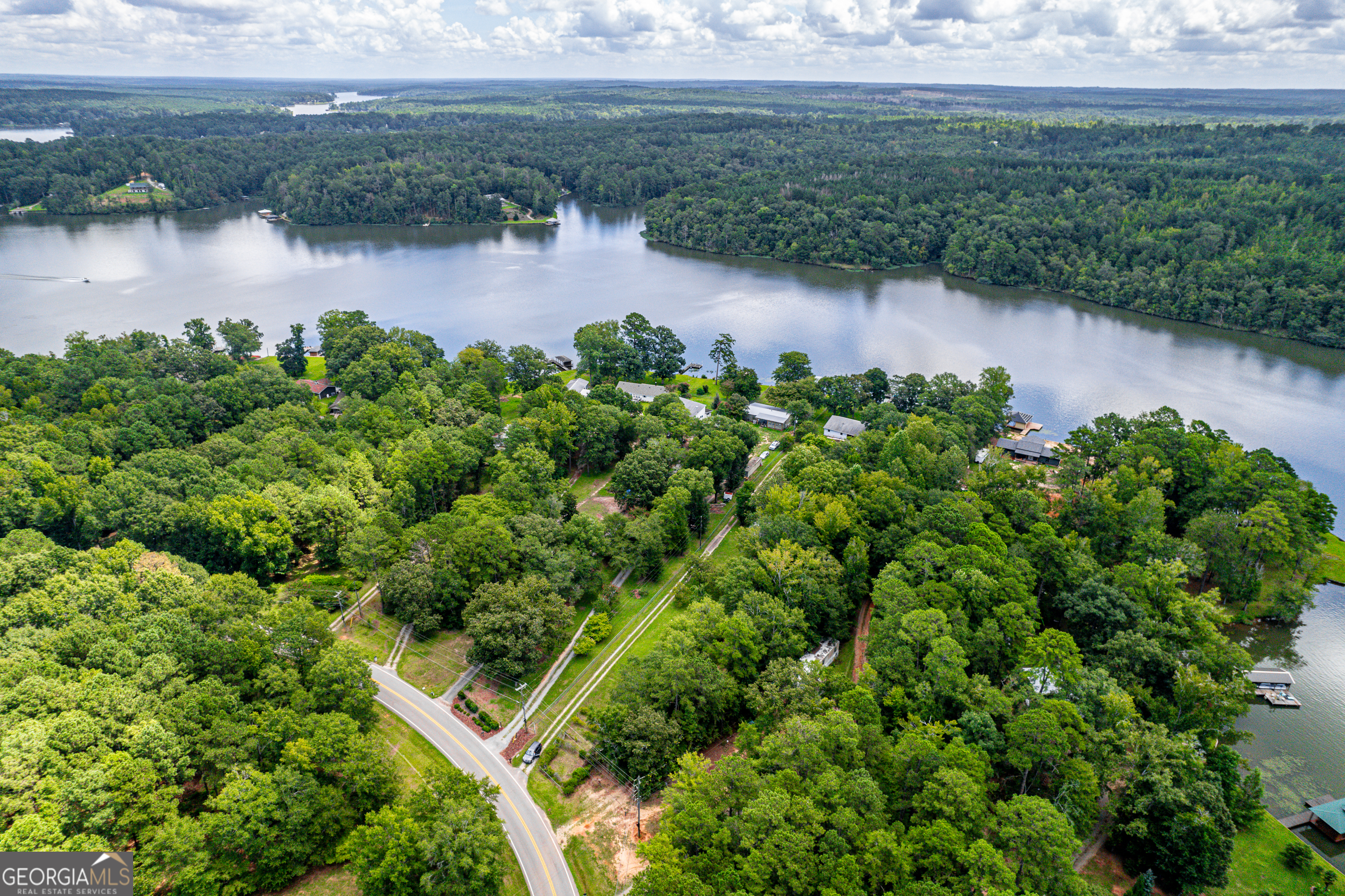 274 South Steel Bridge Road Eatonton, GA 31024 - Photo 28 of 39 a view of a lake with plants and large trees