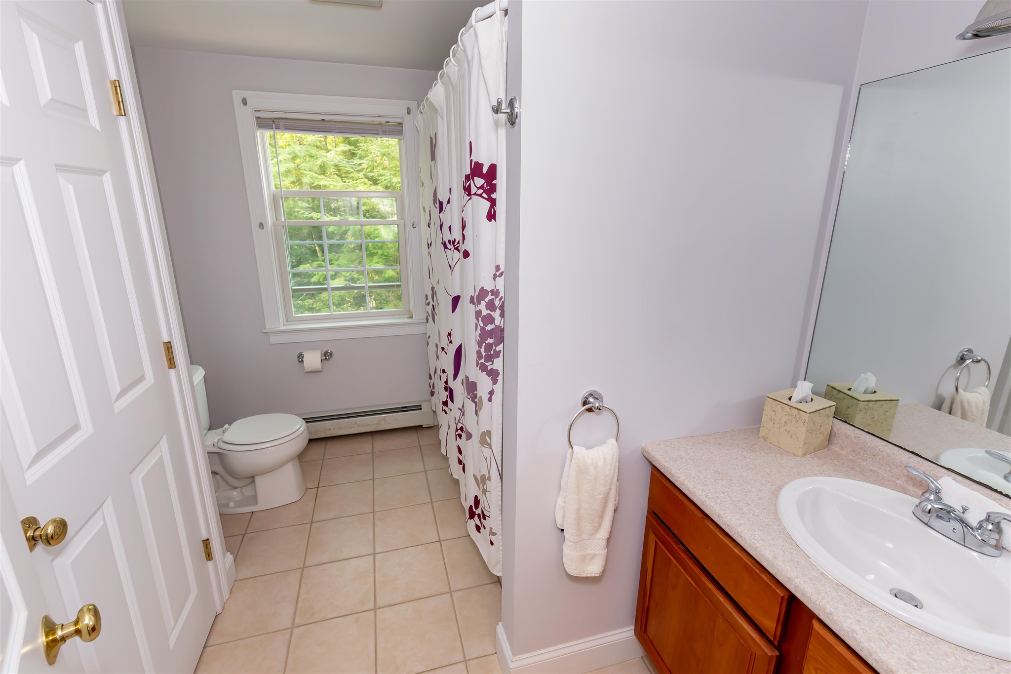 25 Lupine Lane Rochester, NH 03867 - Photo 21 of 39
