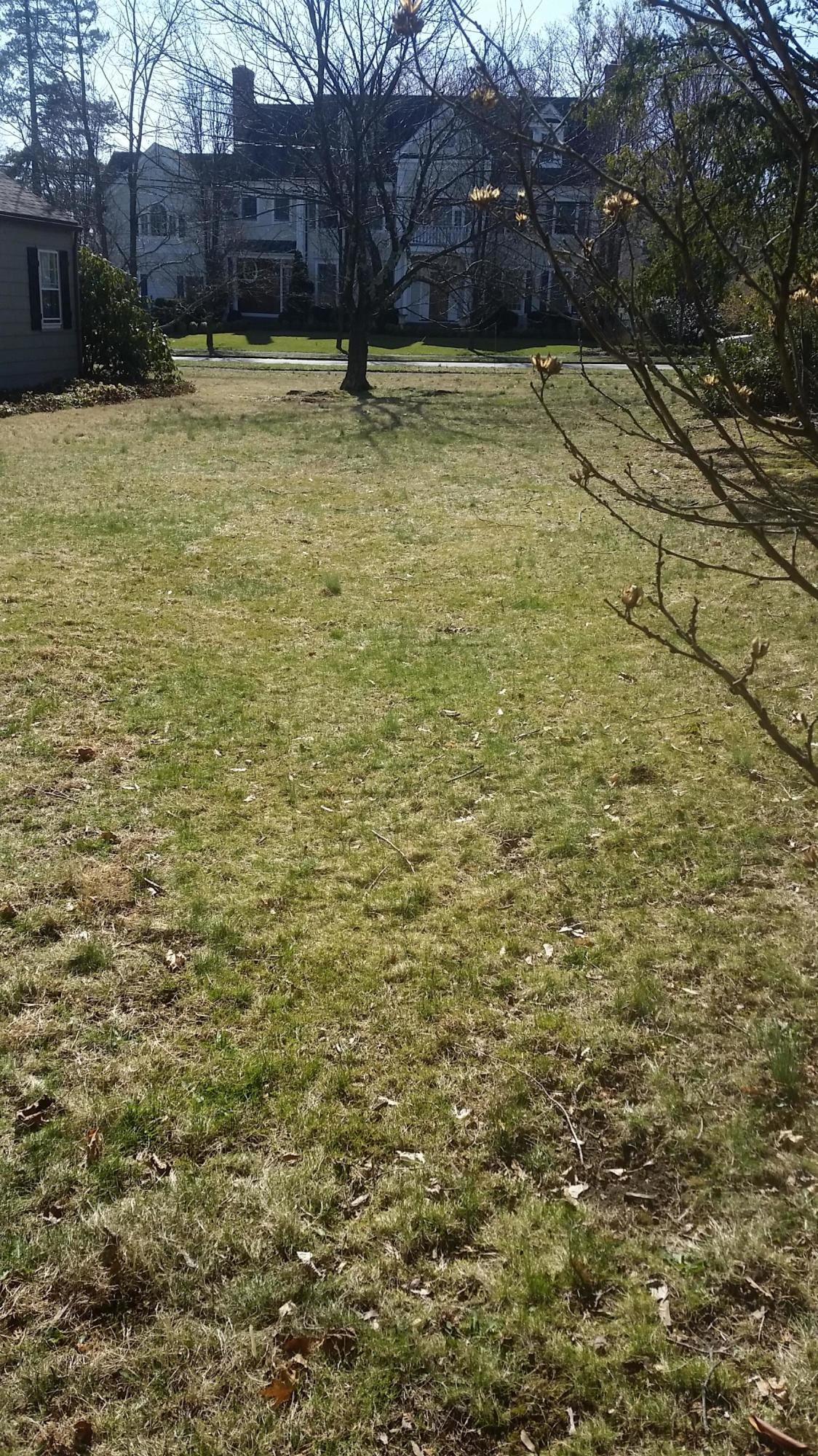 13 Gower Road New Canaan, CT 06840 - Photo 2 of 4 a view of a yard