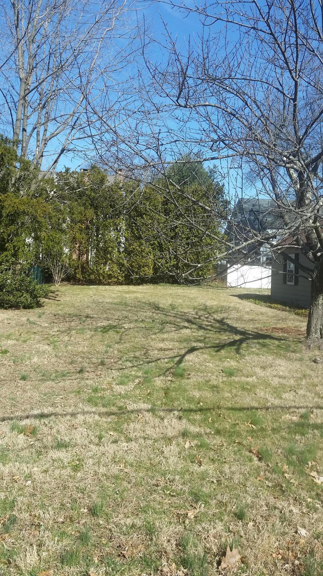13 Gower Road New Canaan, CT 06840 - Photo 4 of 4 a view of a yard with a tree