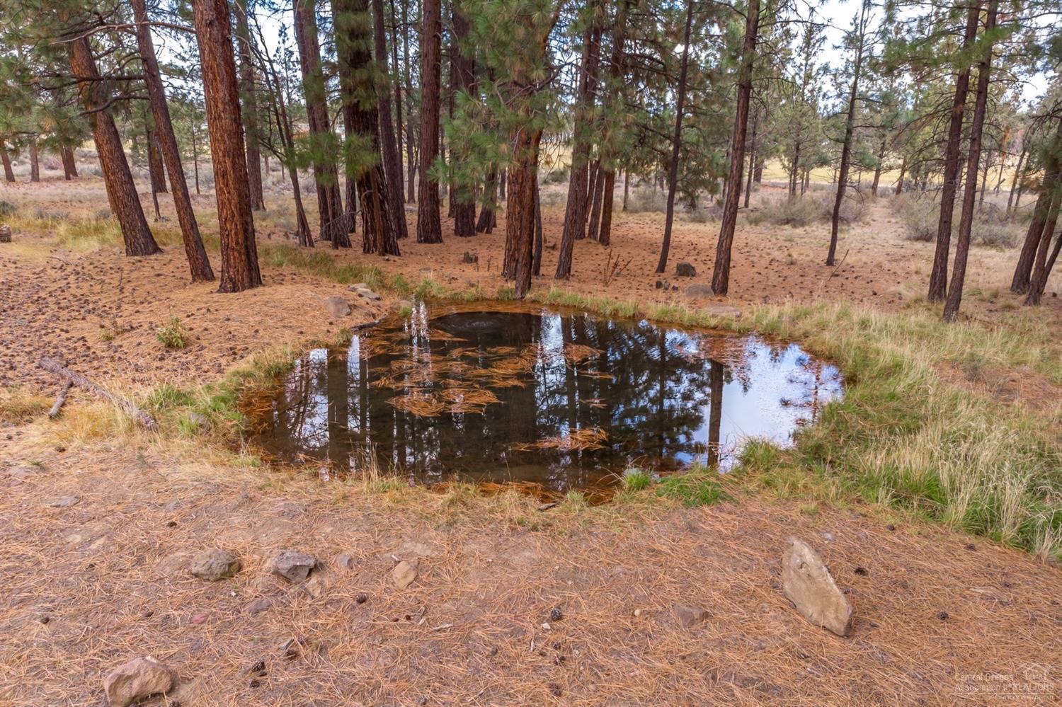 0 Peterson Ridge Road Bend, OR 97703 - Photo 9 of 17 Additional Photo